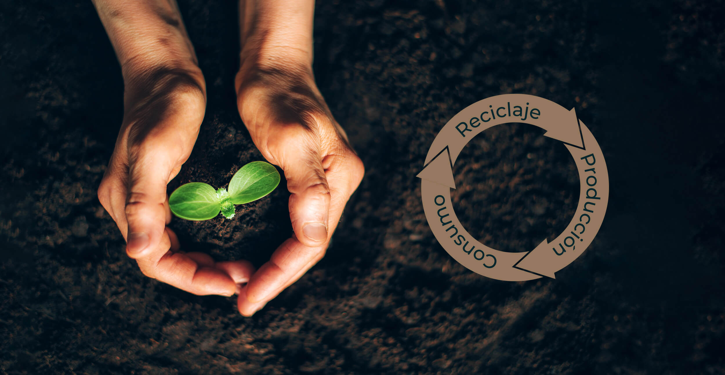 La transición del Ecuador a un nuevo modelo económico: La Economía Circular